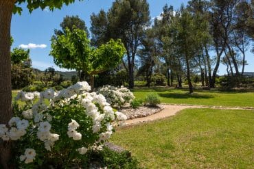 Domaine de la Pierre Blanche