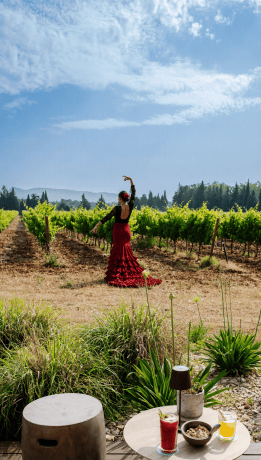Domaine de la Pierre Blanche